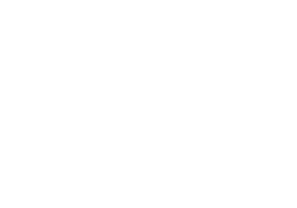 Logo Blanko weiß